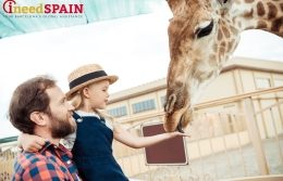 “North America,” “Chile,” and “Australia” to appear in the  Barcelona zoo